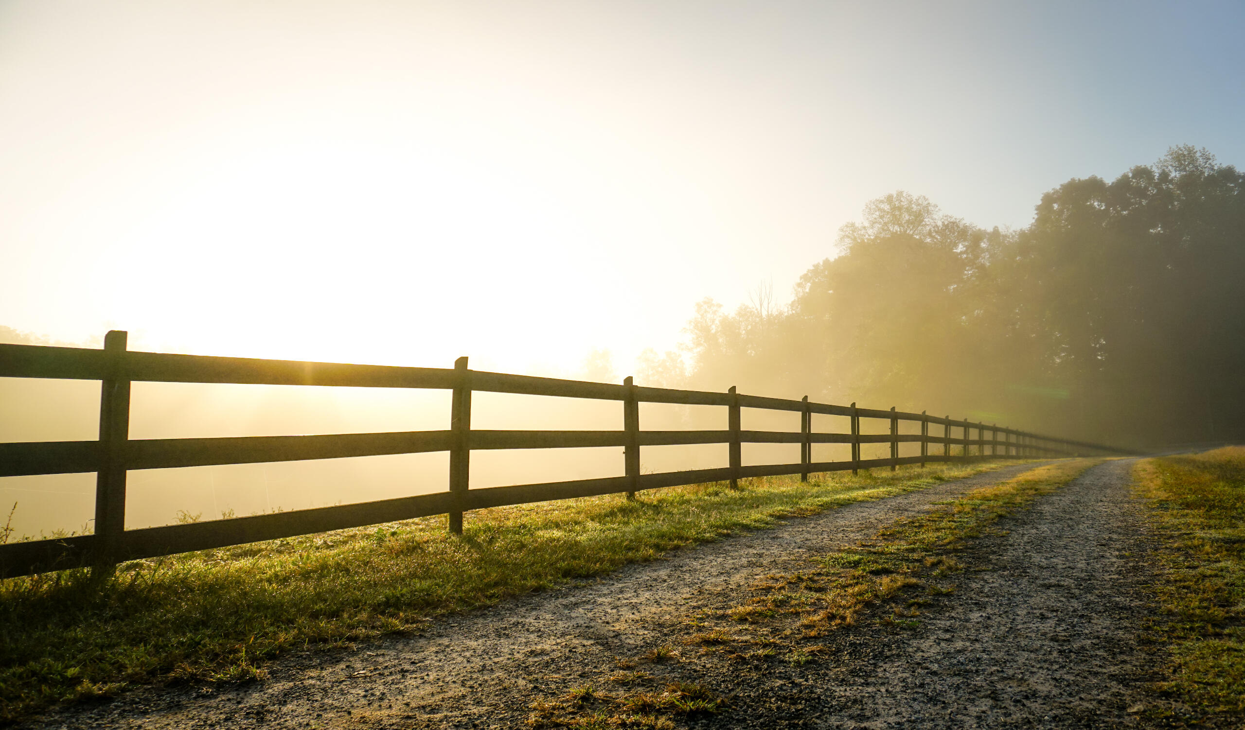 Fence Companies Kane County IL